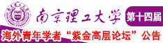 插逼流水视频小说南京理工大学第十四届海外青年学者紫金论坛诚邀海内外英才！